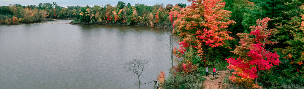 fall foliage 