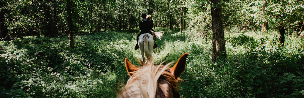 people horseback riding