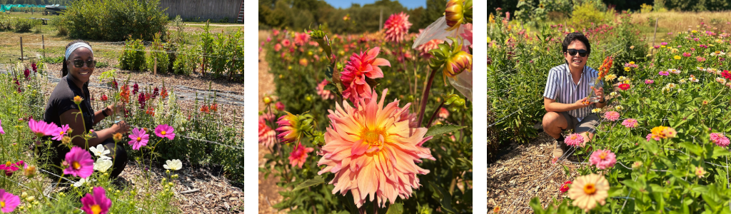 Flower picking 