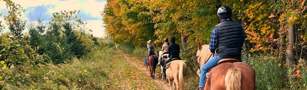 horse back riding in the fall 