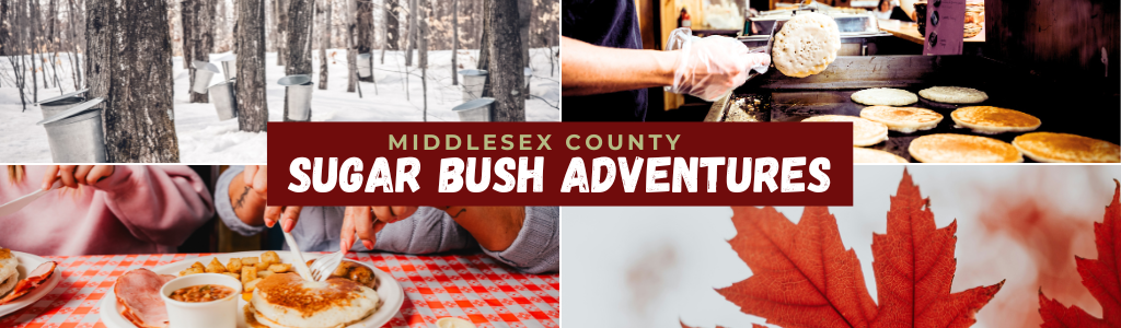 Sugar Bush Middlesex County 