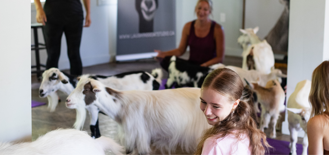 goat yoga