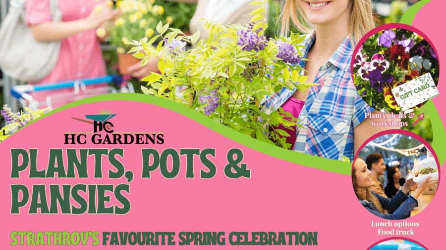 Poster for HC Gardens’ Plants, Pots & Pansies event on Saturday, May 23rd in Strathroy, featuring plants, food, workshops and family activities.