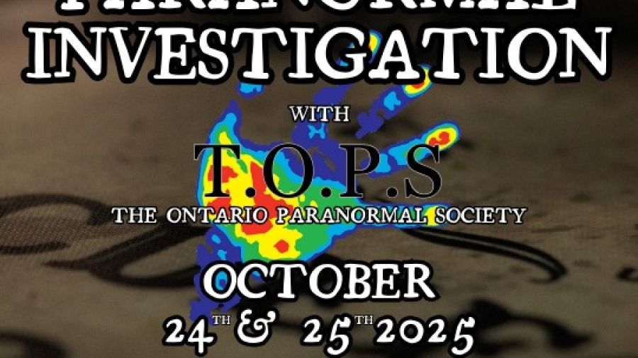 Paranormal Investigation 