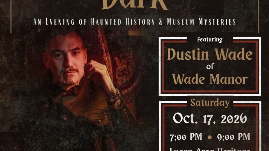 Curiosities after dark 