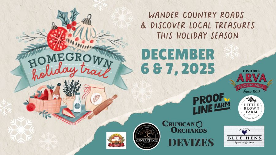 Homegrown Holiday Trail: A Countryside Shopping Adventure 