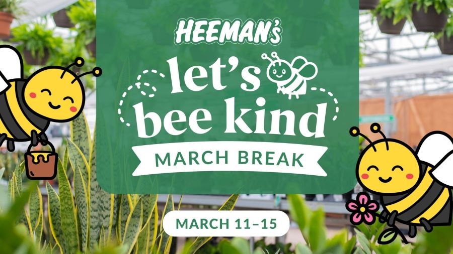 Heeman's Let's Bee Kind March Break has a wide variety of activities to educate and entertain 