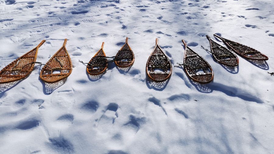 Snow shoes 