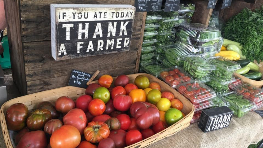 produce from a farmers market 