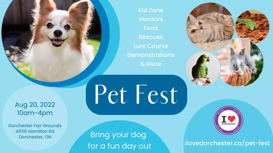 pet fest poster 
