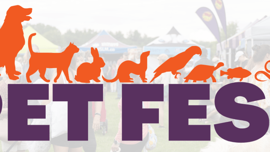Dorchester Pet Fest