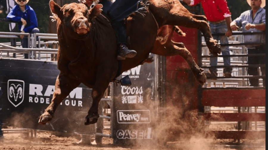 A rodeo rider wearing a helmet and protective vest competes in a bull riding event inside a dirt arena, gripping a bucking bull mid-jump while rodeo staff and spectators watch from behind the fence.