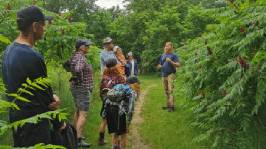 Guided Trail Walk at Sharon Creek Conservation Area 