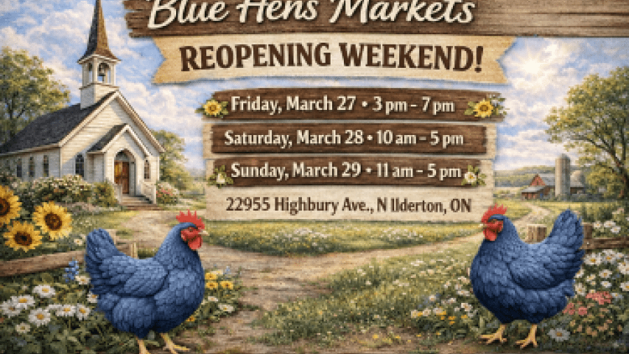 Promotional banner for Blue Hens Markets Reopening Weekend featuring a rustic countryside illustration with a small white church, farm landscape, and two blue hens in the foreground, along with event dates, times, and location details in North Ilderton, Ontario.