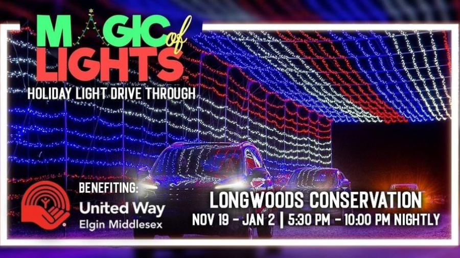 magic of lights information poster 
