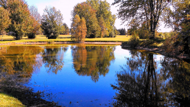 Body of water with trees in the background 