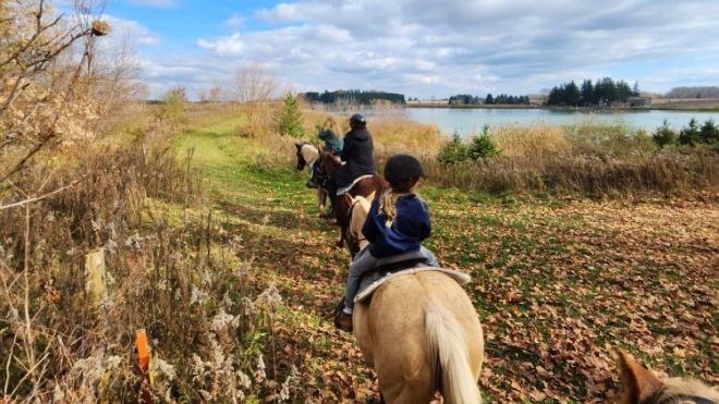A group of people on horses traversing through a wooded landscape next to open water