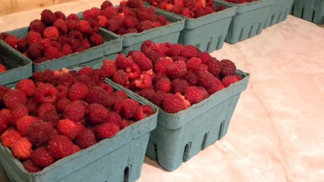 raspberries