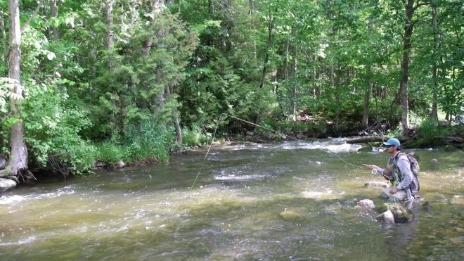 A man fishing while standing knee-deep in the clear Sydenham River