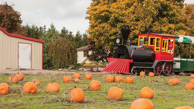 pumpkin patch and train ride