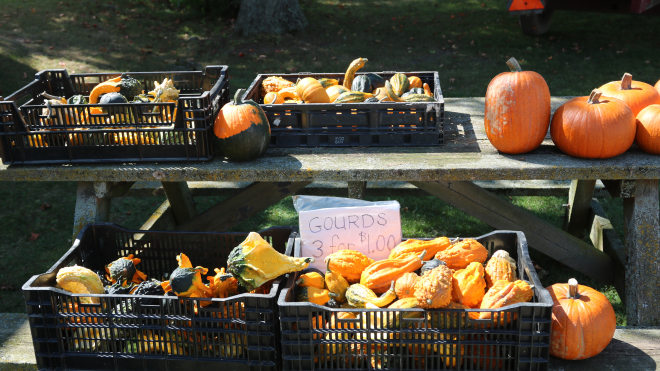 Basket of produce 