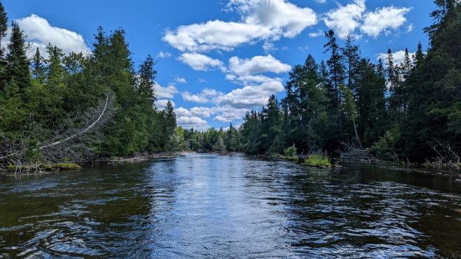 View from a boat in the Ausable River from ontarioflyfisher.com