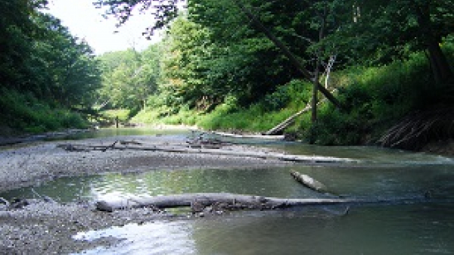 ausable river