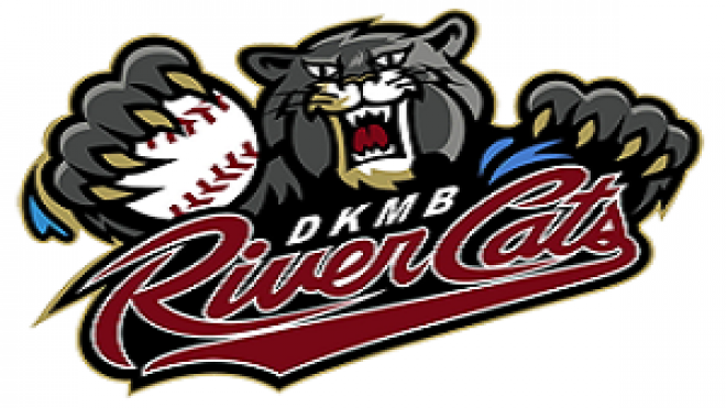 del ko brydge river cats logo