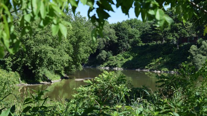 Delaware Conservation Area 