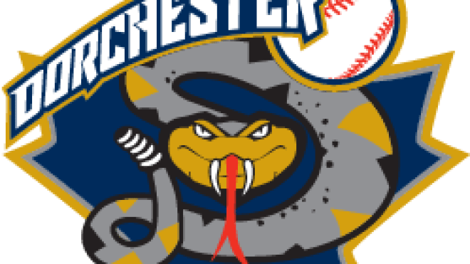 Dorchester Diamondbacks logo