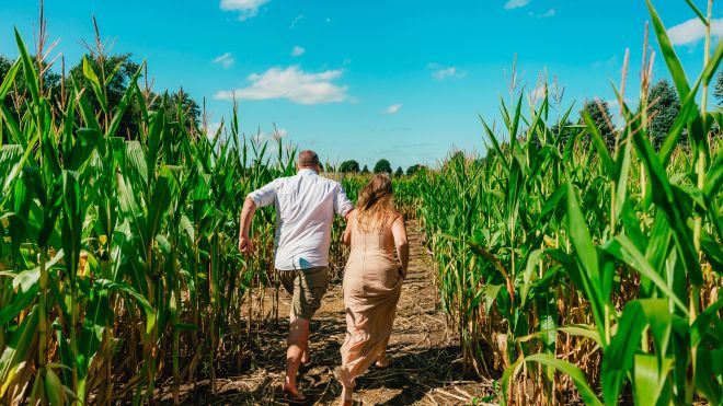 kids running through a corn maze 