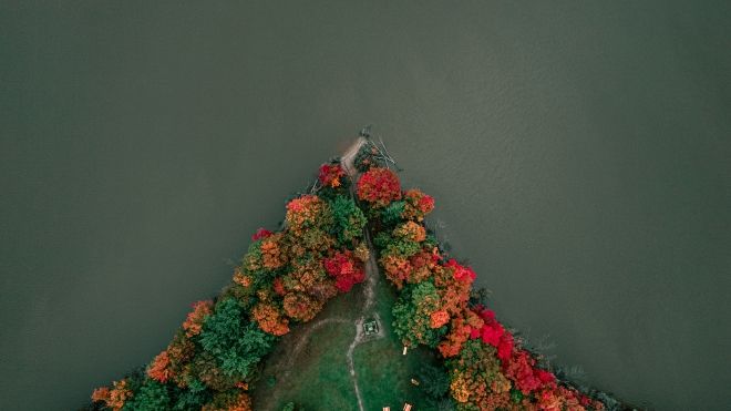 overview of fall foliage 