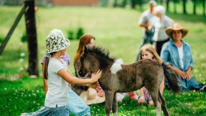 children playing with farm animals