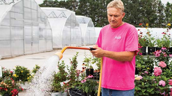 Man watering plants in a greenhouse 