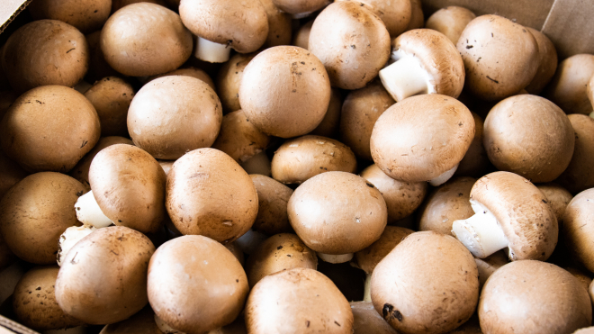 Box of mushrooms 