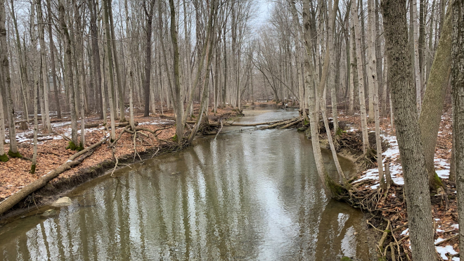 coldstream conservation area body of water