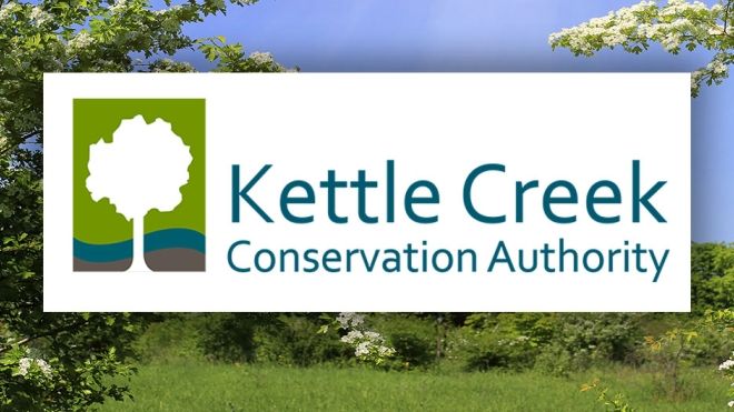 The KCCA logo overlaying a forest