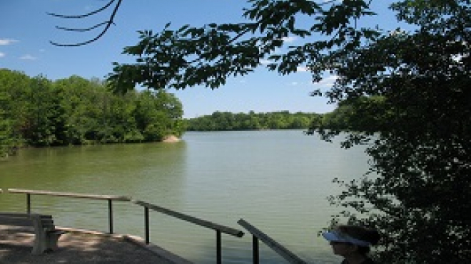 longwoods conservation body of water 