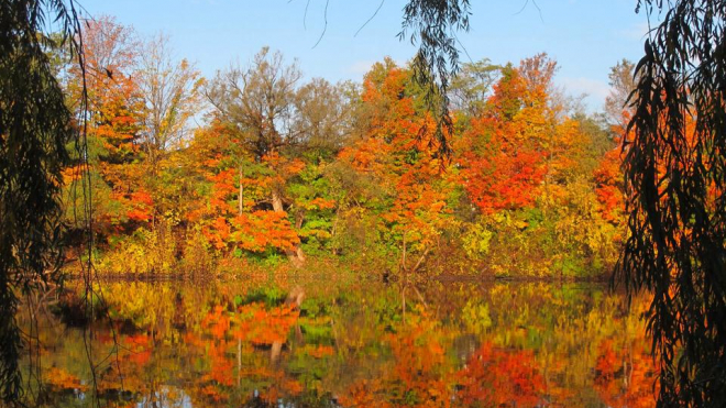 dorchester mill pond in the fall with the leaves changing 