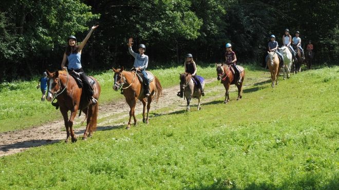 A line of young girls riding horses on a sunny day