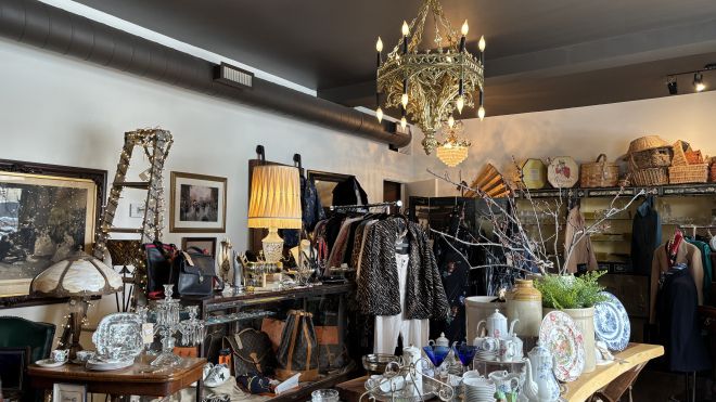 Meld Curiosities Antique Store