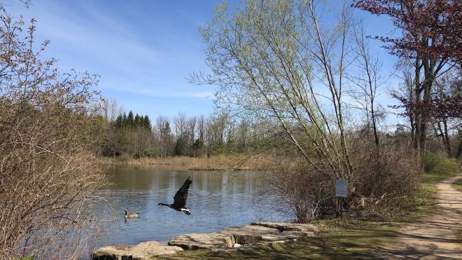The view off the Rotary trail, showing a water lookout and bird flying on a sunny day