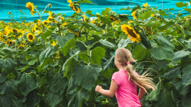 girl running through corn maze