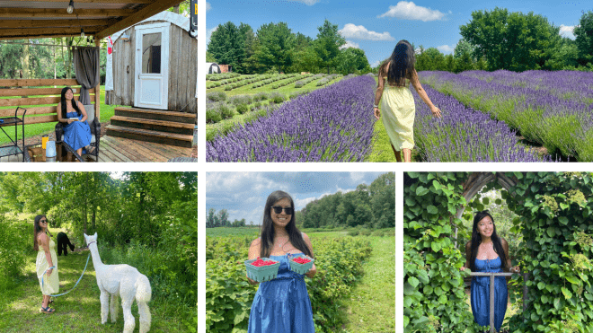 Woman doing agritourism activities