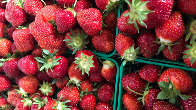 baskets of strawberries