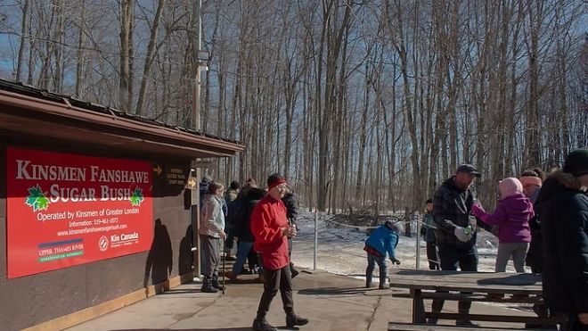 A sunny and busy day in the sugar bush, with many families congregated around the Kinsmen CLub sign