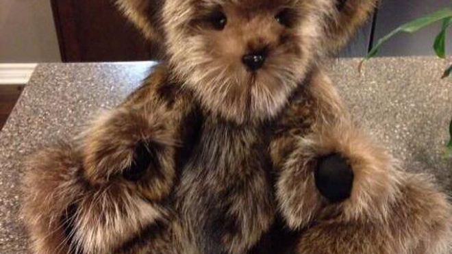 furry brown teddy bear