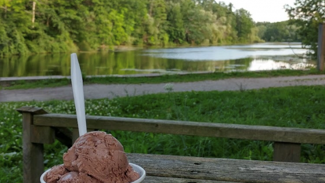 frozen cow ice cream