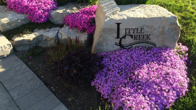 little creek sign on a rock surrounded by purply-pink flowers 