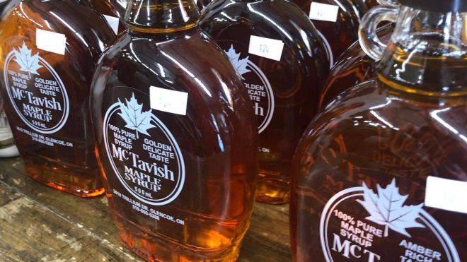 Maple Syrup Bottles 